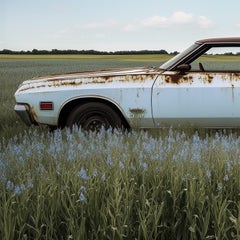 Oldsmobile (Americana, Rusty, Classic Car, Timeless Ride, 30% OFF LIST PRICE)