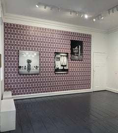 Lampshade, picture frame, and my pussy-cat