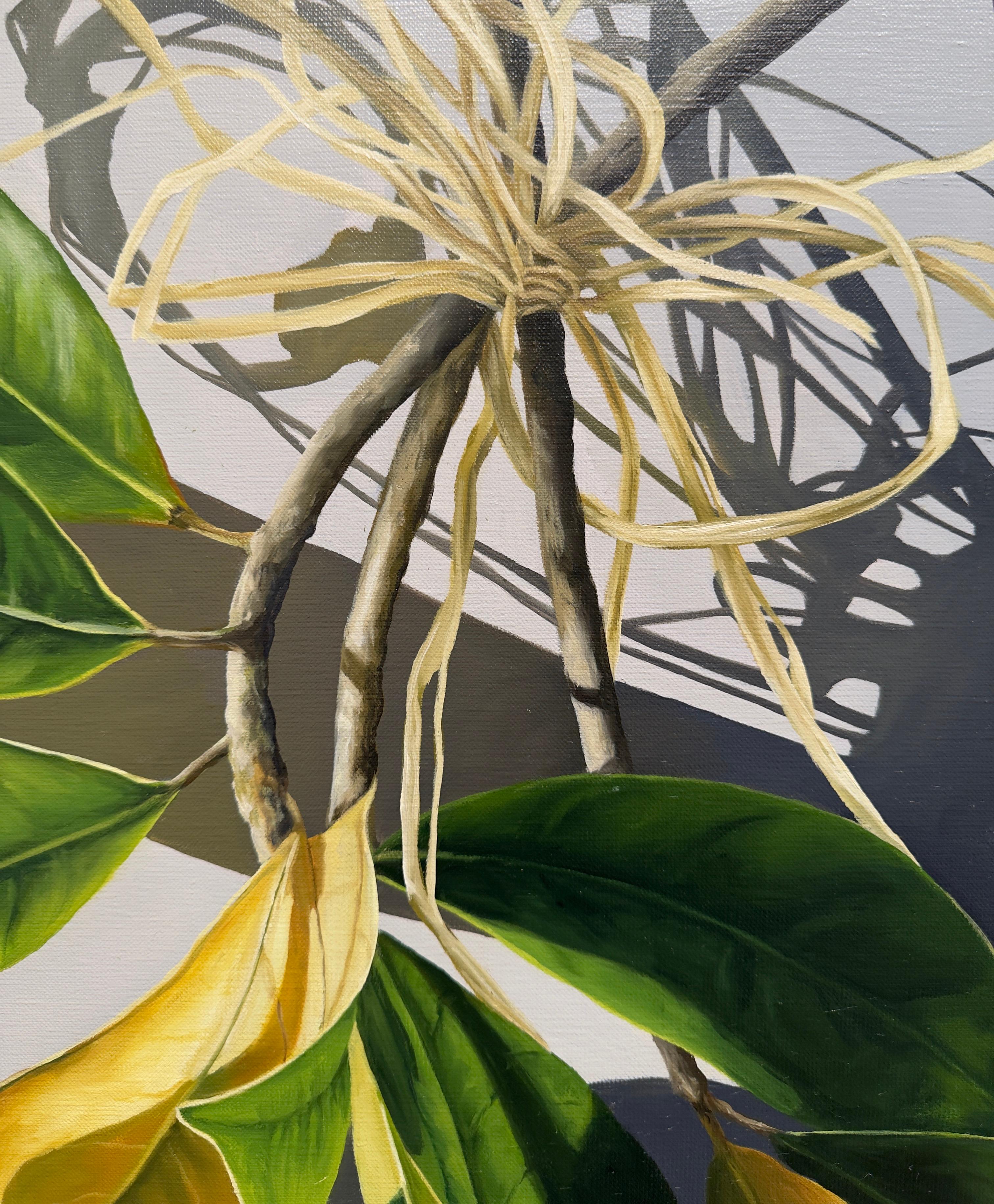 HANGING MAGNOLIA - Realism / Plant / Still Life For Sale 2