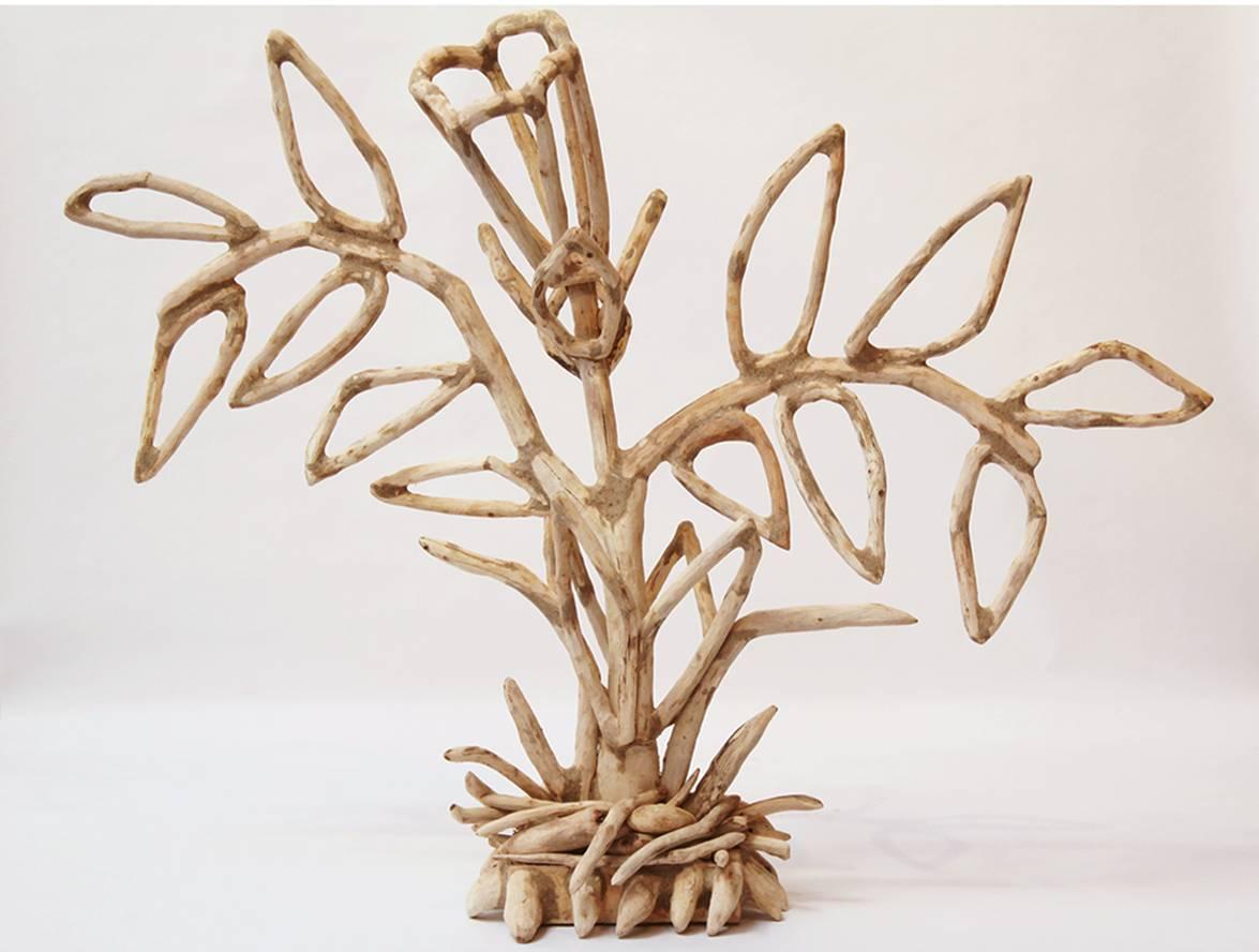 Over many decades Loren Eiferman has created and mastered a unique technique of working with wood—her primary material.  

First, she begins with a drawing of an idea. Then she takes a daily walk in the woods surrounding her studio and collects tree