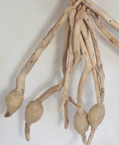 Loren Eiferman, 5r, 146 pezzi di legno con corda e cera, 2016, Scultura in legno