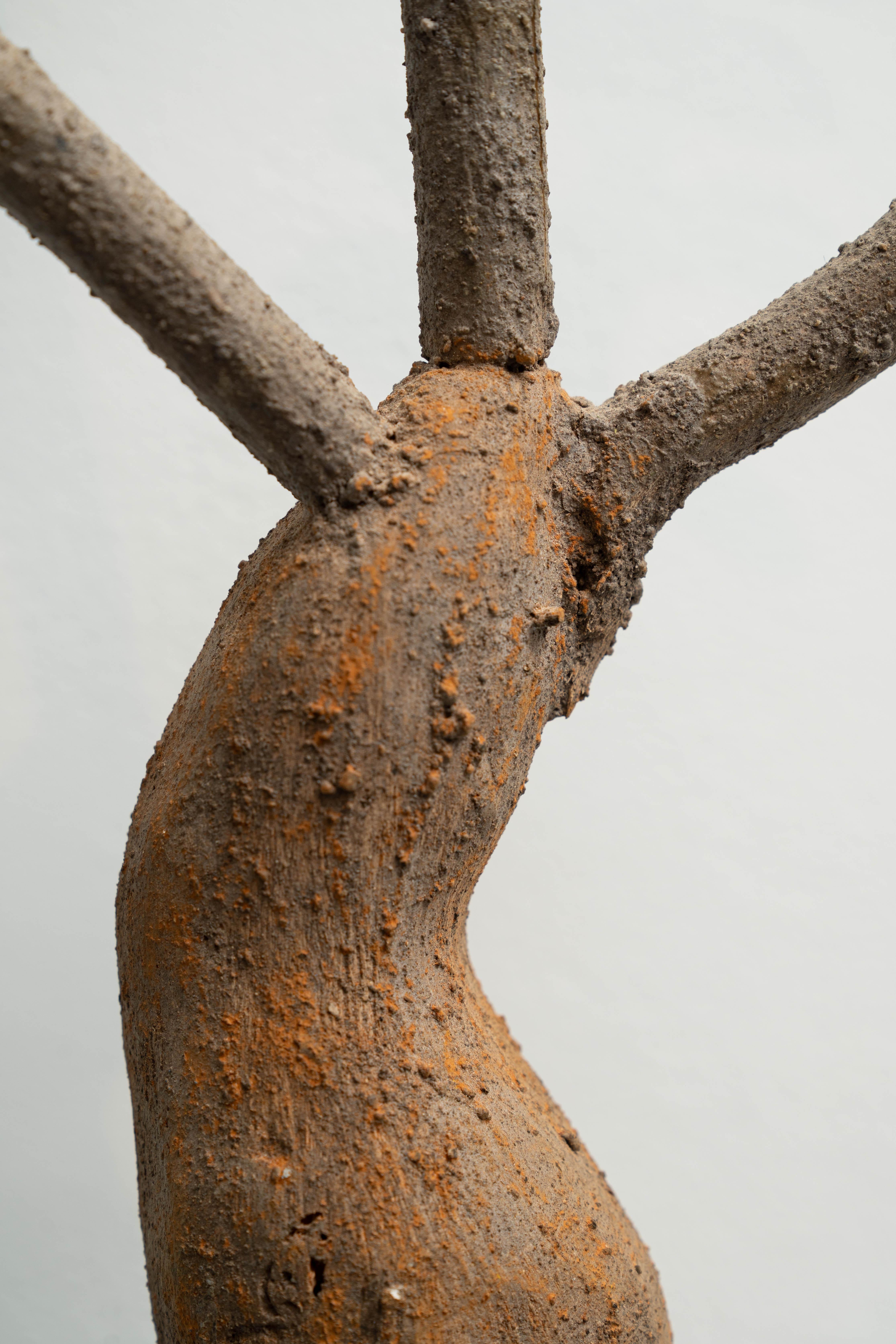 Sculpture d'un arbre : « 5r » en vente 3
