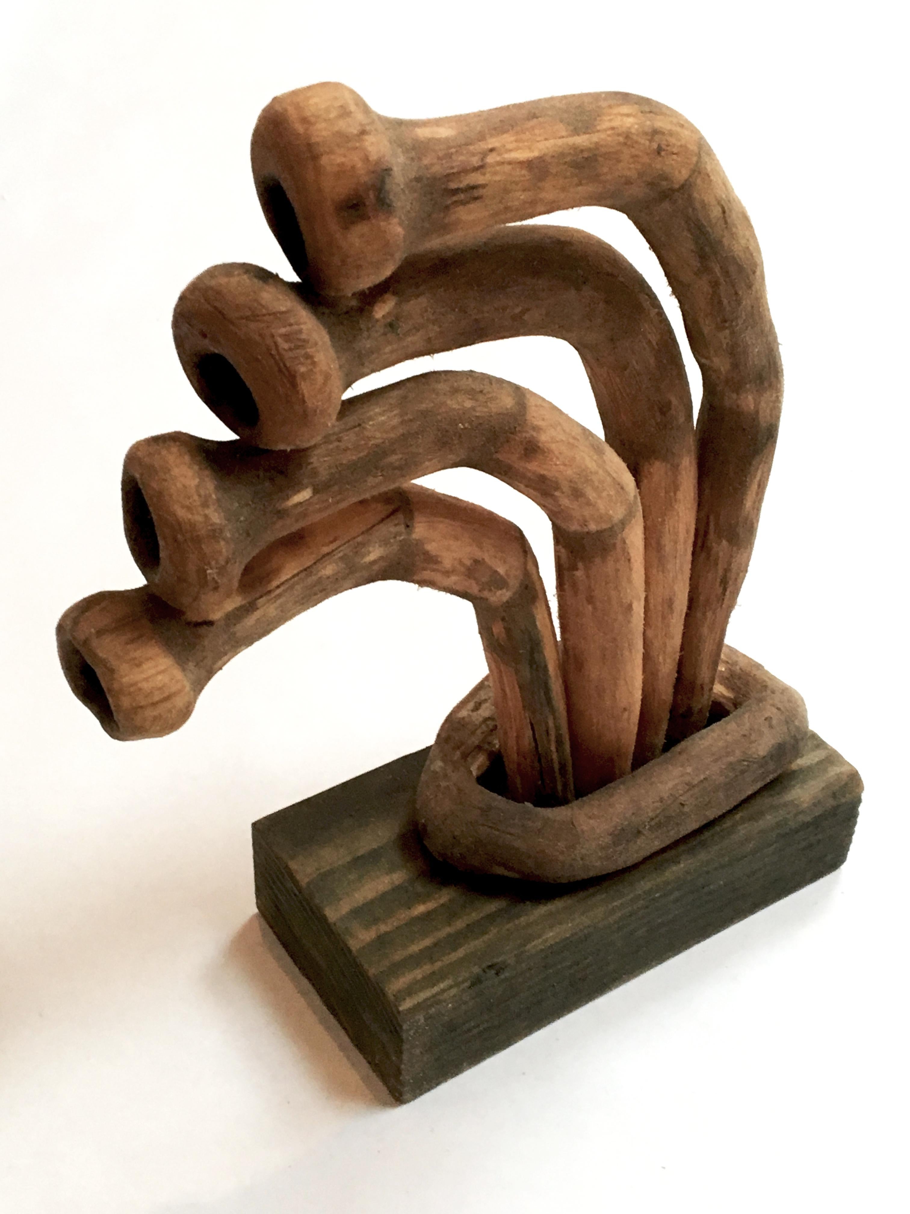 Loren Eiferman Abstract Sculpture - Wood Sculpture: 'Fiji #3'