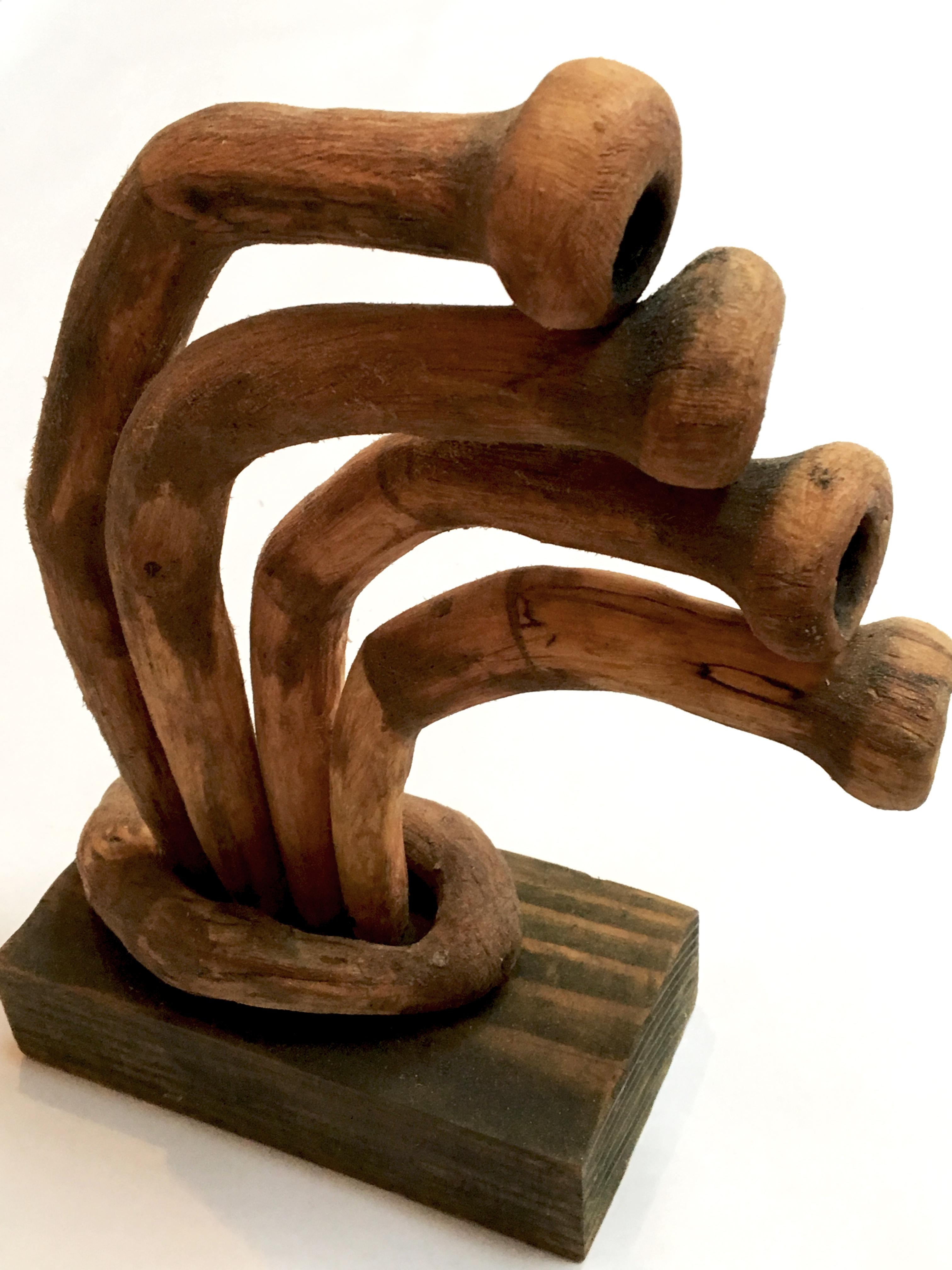 Holz-Skulptur: „Fiji #3“ – Sculpture von Loren Eiferman