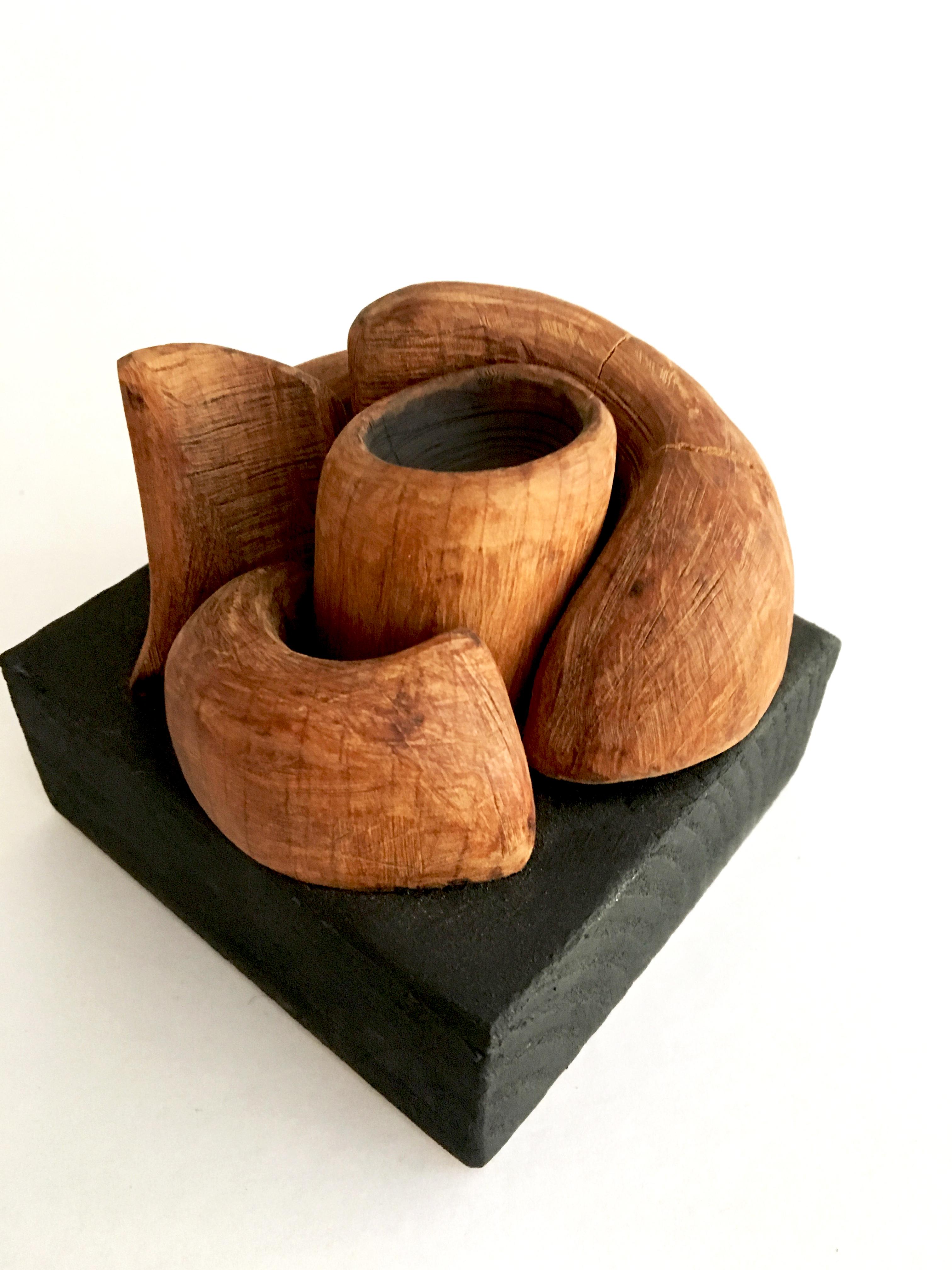 Wood Sculpture: 'Micro/Macro' - Mixed Media Art by Loren Eiferman