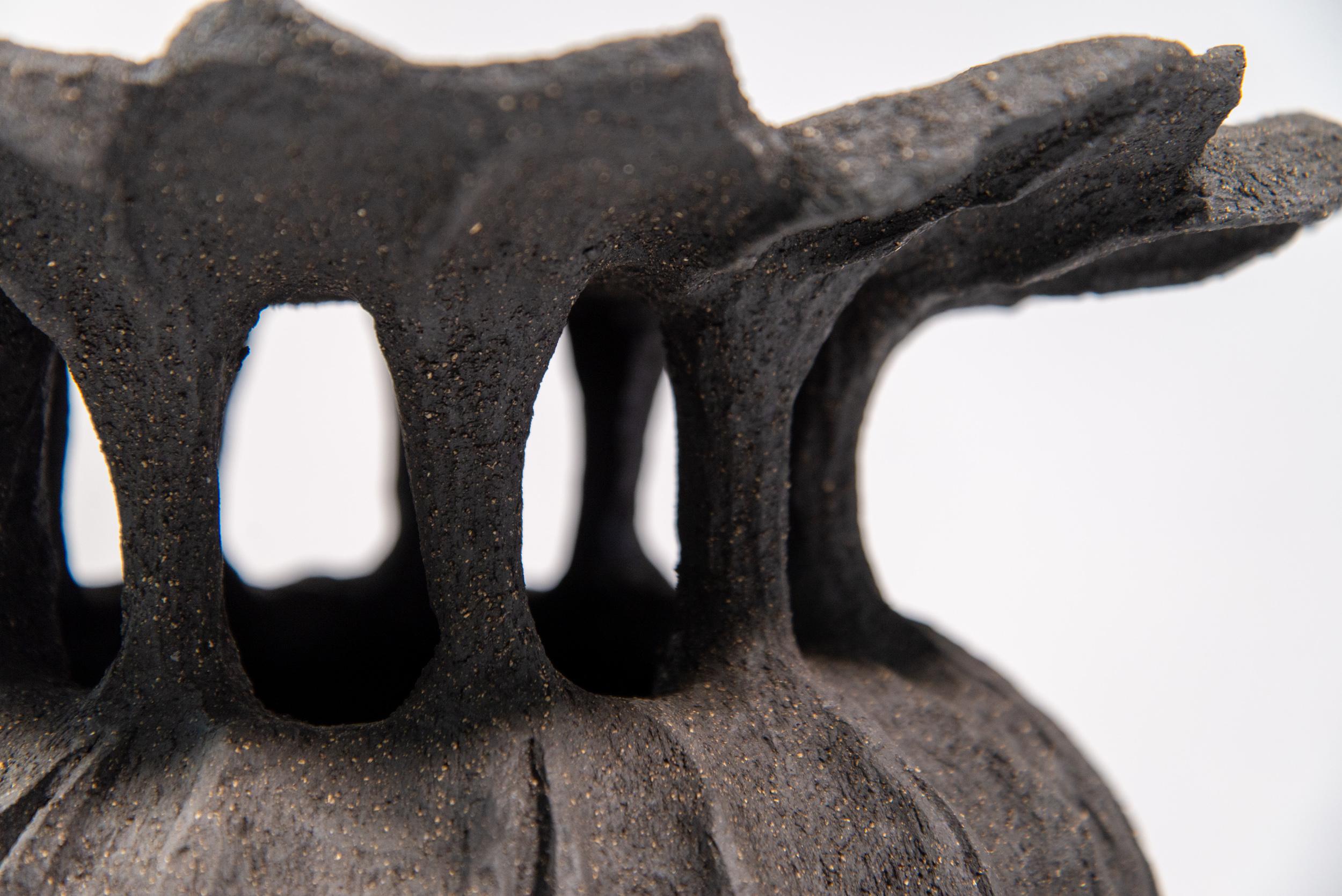 Capsule de pavot noir n° 2 - sculpture contemporaine en céramique, fabriquée à la main en vente 1