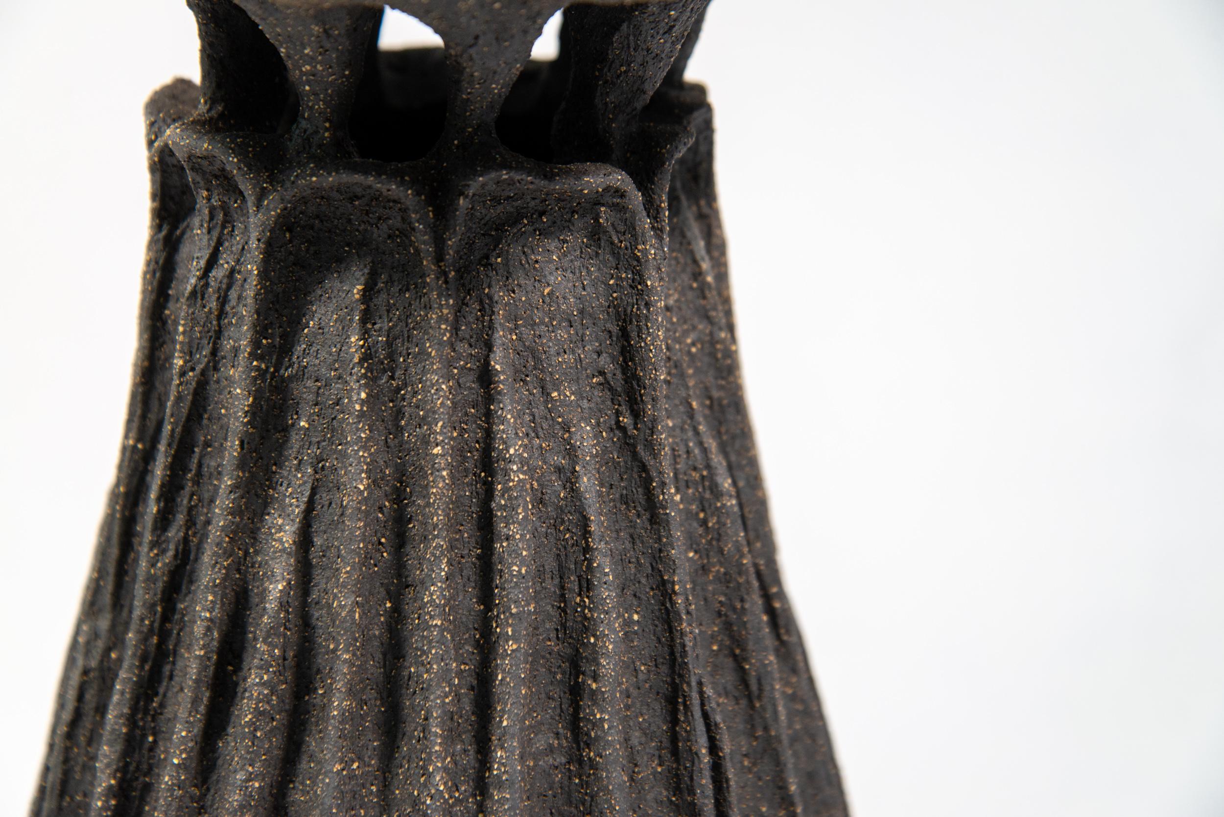 Questo vaso contemporaneo in ceramica è stato ispirato dalla natura e realizzato in nero.

Loren Kaplan, che è un'abile ceramista, è sempre stata incuriosita dal concetto di contenitore; l'idea che una forma o un recipiente vuoto possa essere