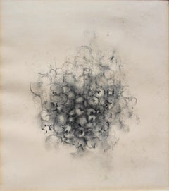 Loren Maciver 1940s Drawing Still Life of Berries