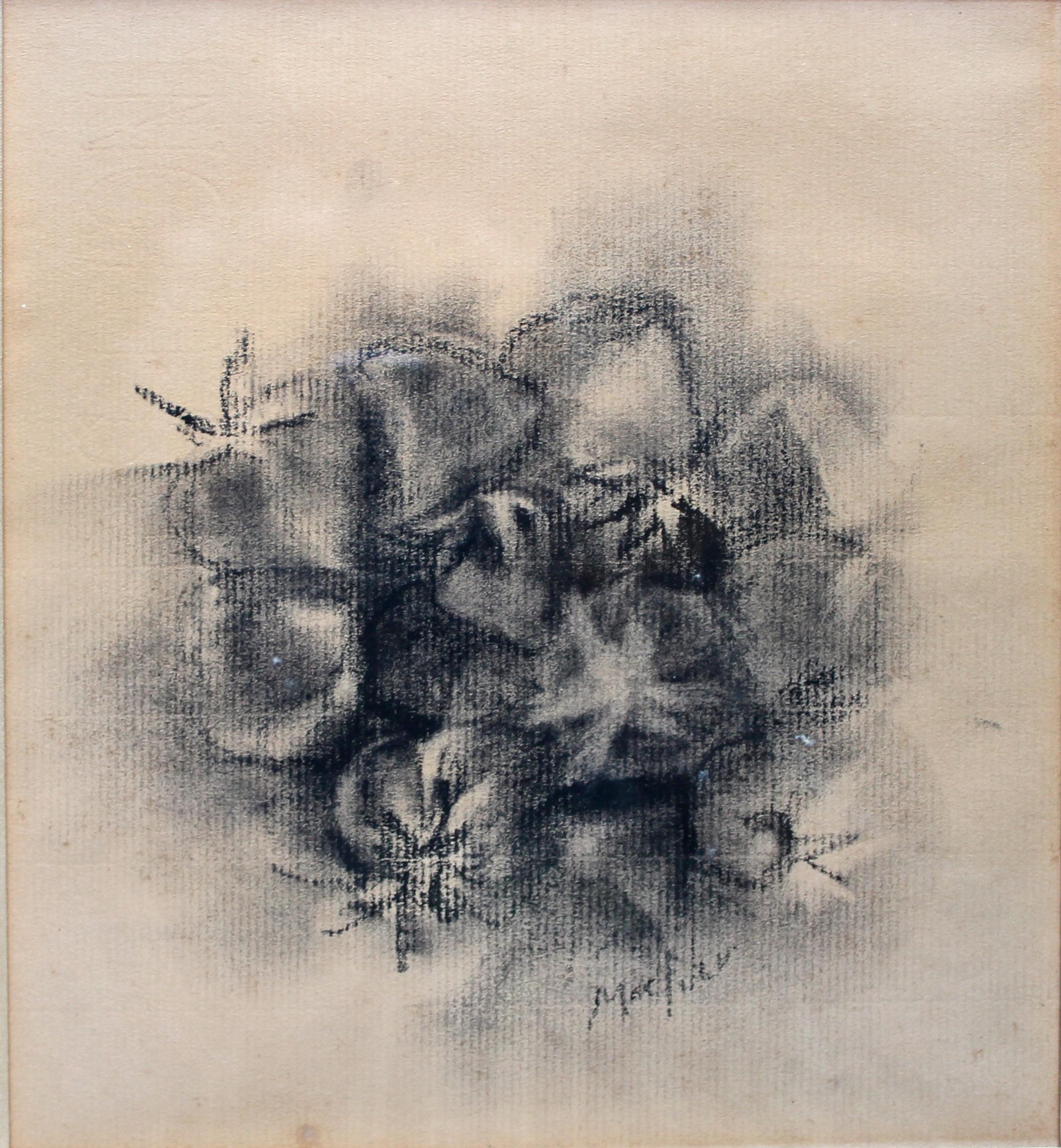 Loren Maciver (American 1909-1998) drawing of fruit conte crayon on pastel paper. Measures: Matted and framed 13 1/2