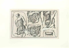 menschliche Anatomie des Menschen – Radierung von Lorenz Heister – 1750