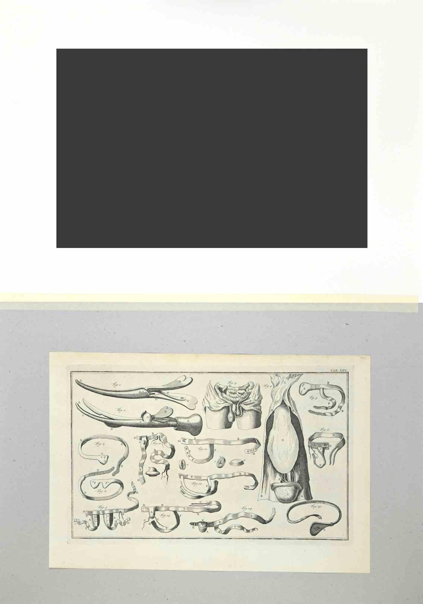 w.lorenz instrument catalog