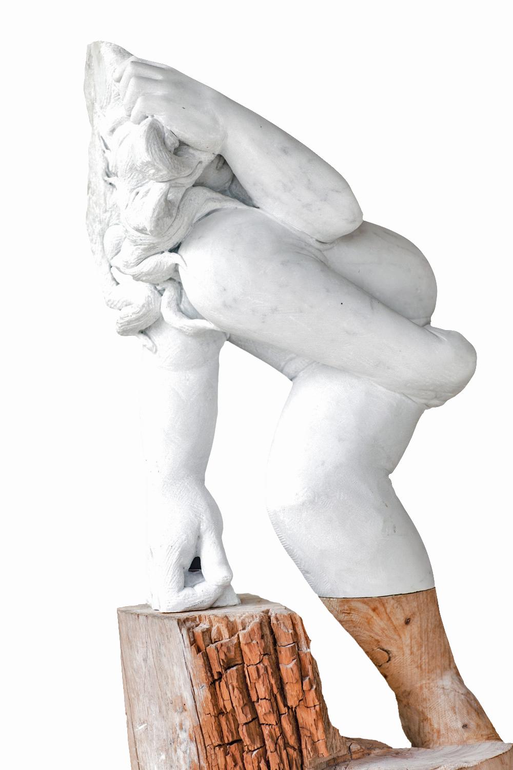 Donna - hand carved Italian Carrara marble + oak wood sculpture ( 30