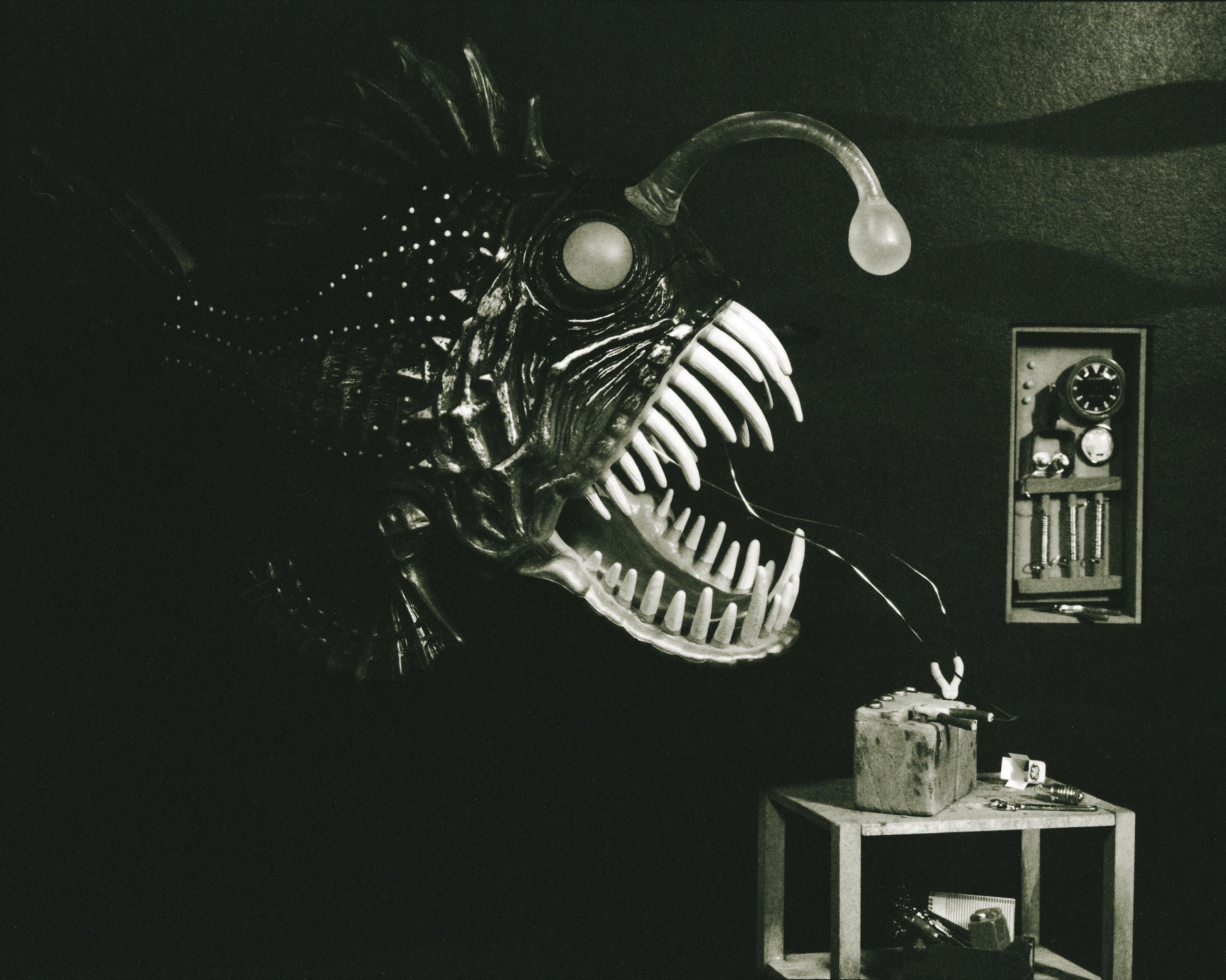 Pesce pescatore - Photograph di Lori Nix and Kathleen Gerber
