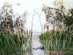 Floater
