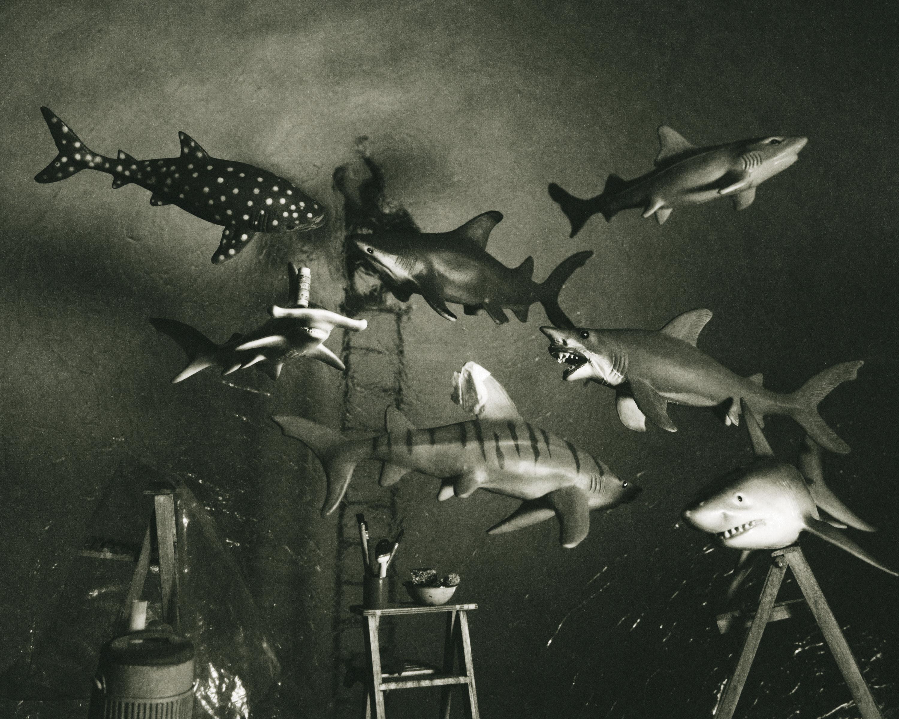 Sharks - Photograph by Lori Nix and Kathleen Gerber