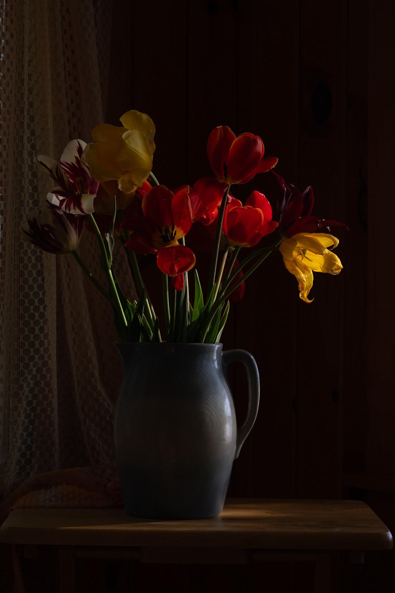 Tulips in Blue Pitcher