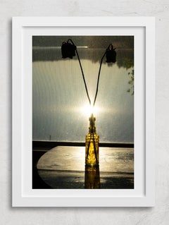 Two Roses at Sunrise