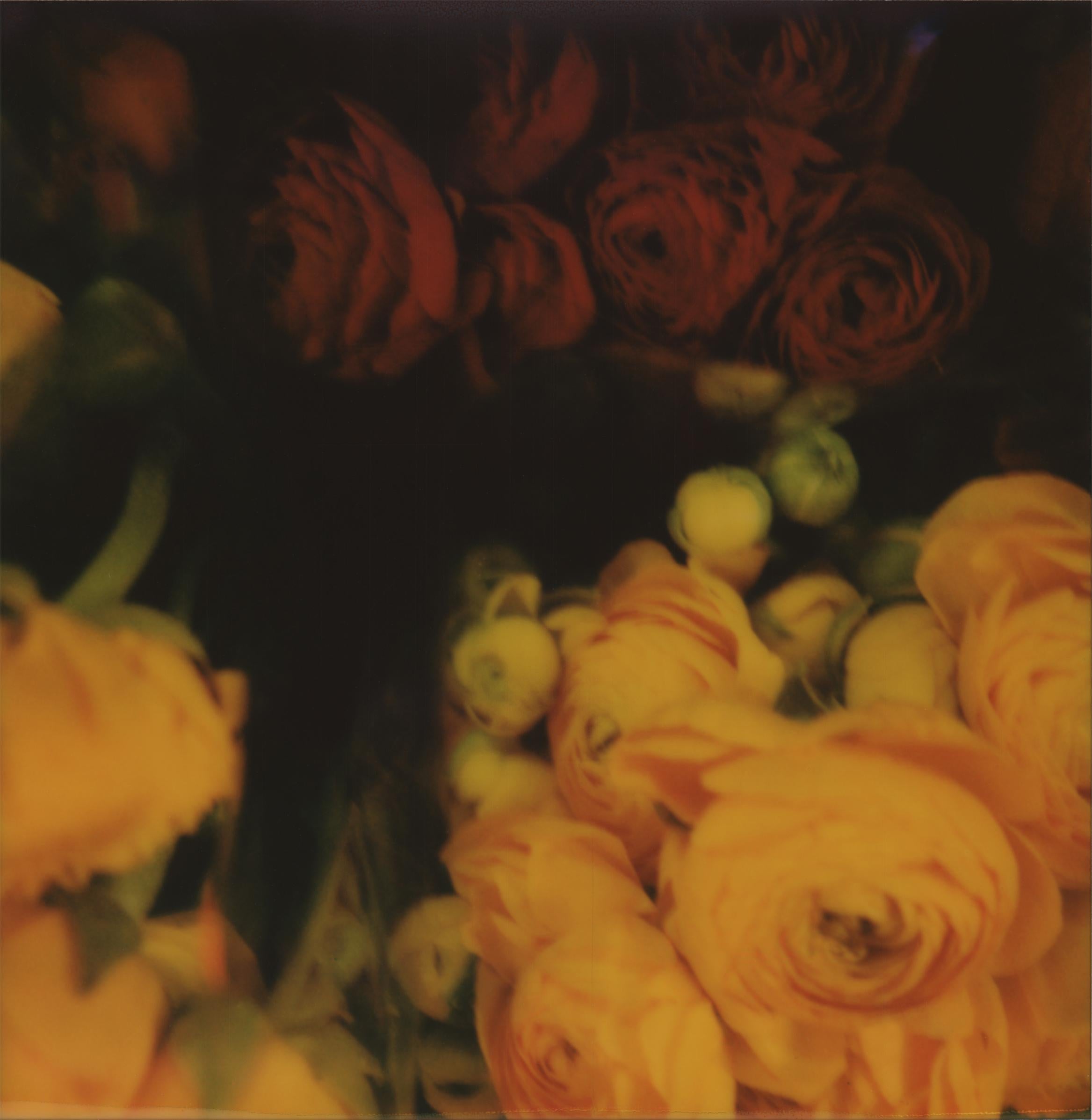 Lori Van Houten Color Photograph - Ranunculus: Romantic Still-Life Photograph of Soft Red & Pink Flowers, Framed