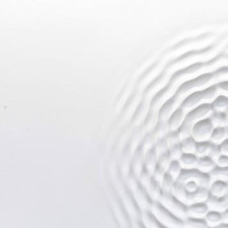 Loris Cecchini
Wallvave vibration (ears particle tingles), 2012 
Polyester, resin, paint 39.4h x 39.4w in 
€35,000