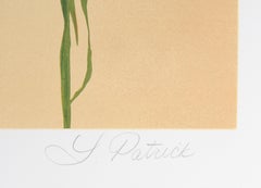 Kiva, American Realist Screenprint by Lorna Patrick