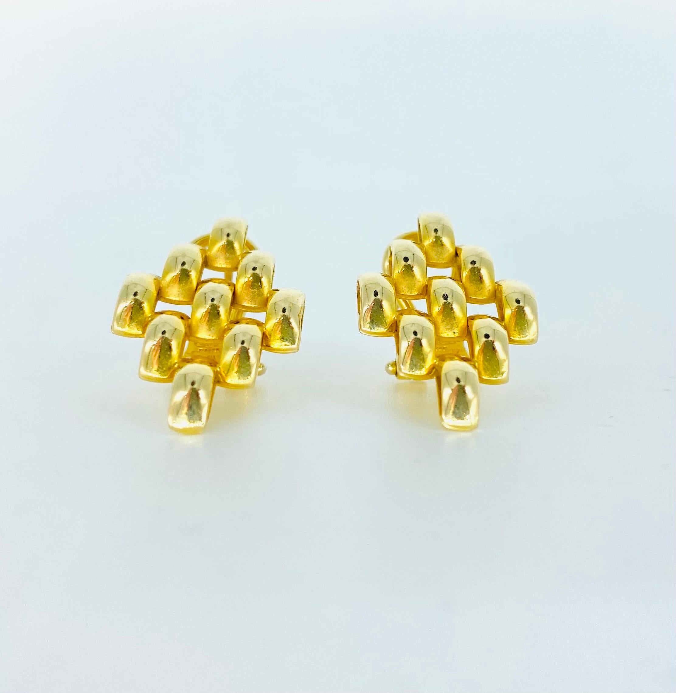 nakshatra design earrings