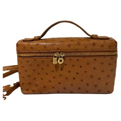 Loro Piana LP 19 in ostrich tan colour clutch