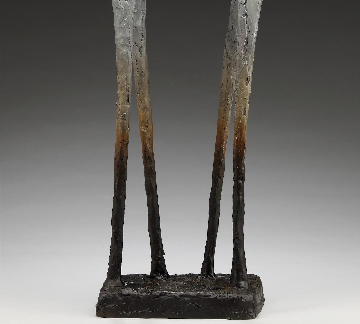 Lorri Acott è una scultrice apprezzata a livello internazionale, nota per le sue opere impressionistiche e figurative che esplorano i temi della connessione, della resilienza e dell'esperienza umana condivisa. Le sue sculture, spesso di dimensioni
