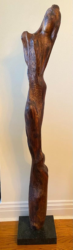 Torso nudo