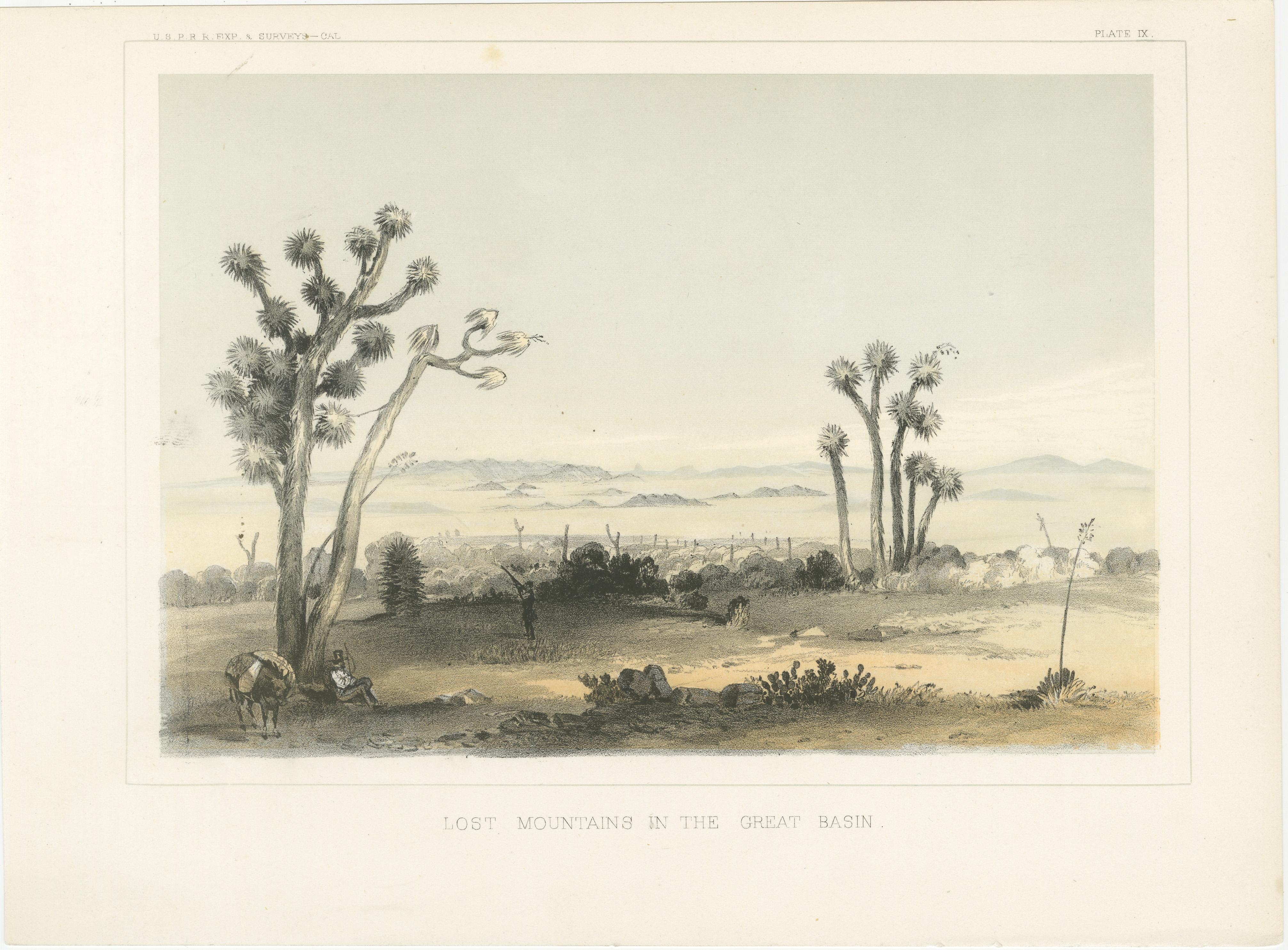 Verlorene Berge im Great Basin mit Wüstenflora  

Diese Lithografie mit dem Titel 
