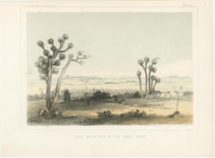 Lost Mountains in the Great Basin with Desert Flora - Mohane, California, 1856