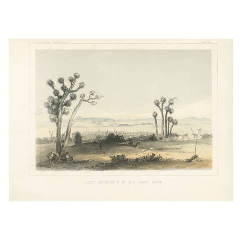 Lost Mountains in the Great Basin with Desert Flora - Mohane, California, 1856