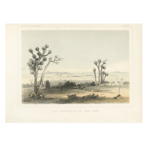 Lost Mountains in the Great Basin with Desert Flora - Mohane, California, 1856