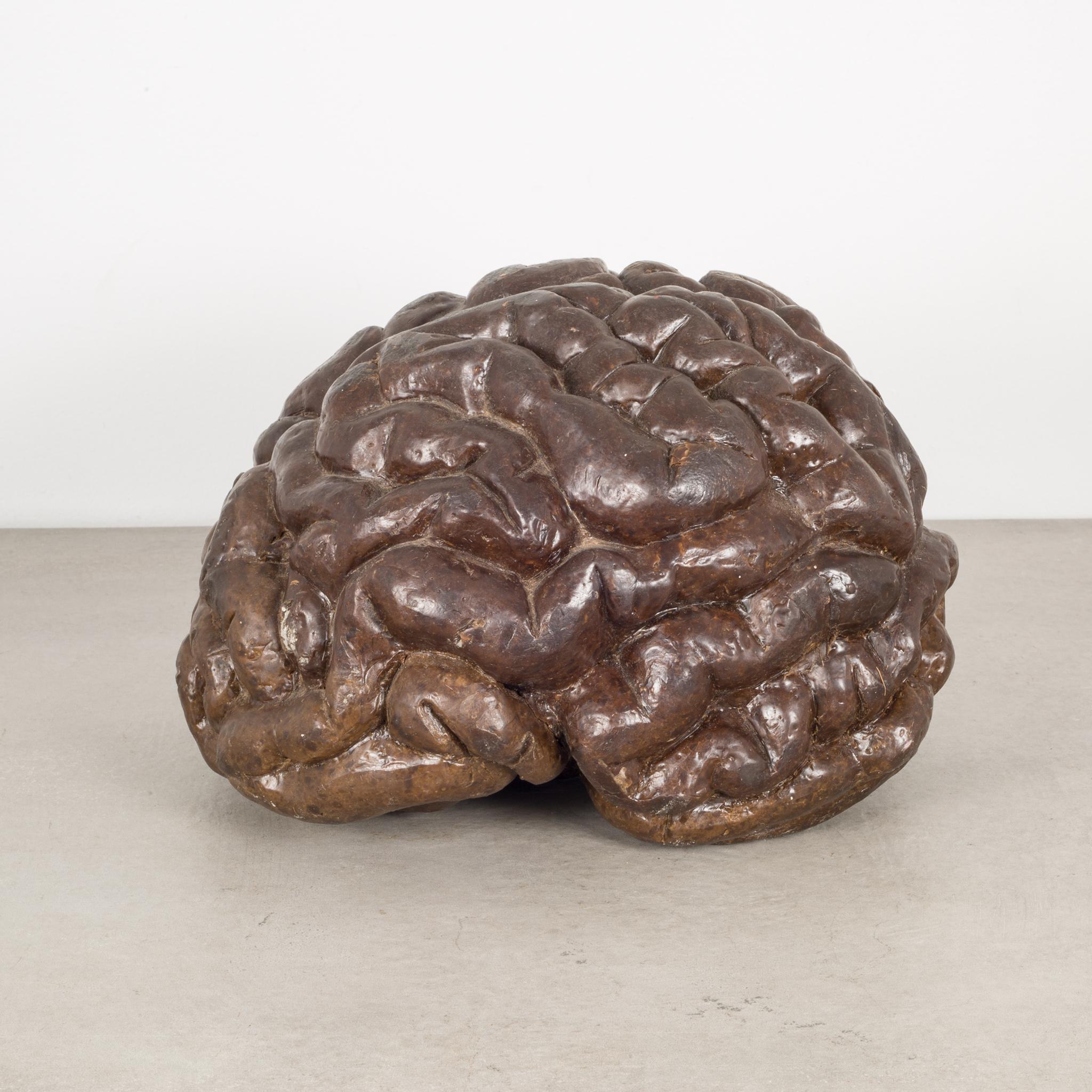 About

A large wax cast of a brain for a bronze sculpture using the lost wax process. Lost-wax casting is the process by which a duplicate metal sculpture (often silver, gold, brass or bronze) is cast from an original sculpture. Intricate works