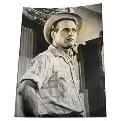 Lot de 4 Fotografien Originales de Paul Newman, Sophia Loren, Joanne Woodward Lot de 4 Fotografien Originales de Paul Newman, Sophia Loren, Joanne Woodward