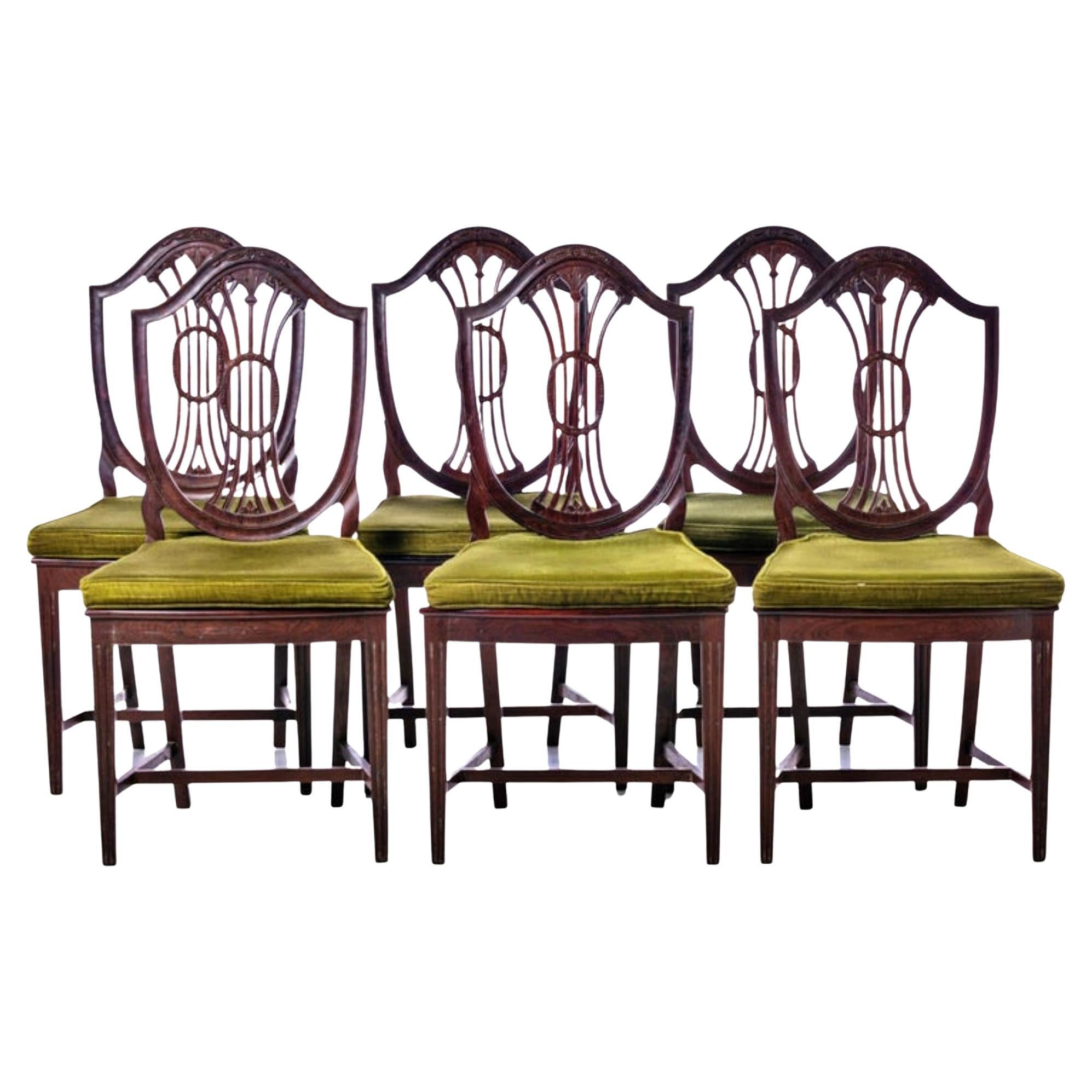 Lot of 6 Chairs Portuguese 19th Century in Brazilian Rosewood