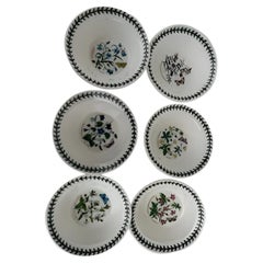 Vintage Lot of 6 portmeirion oatmeal plates