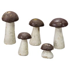 Lot of Five Terracotta Boletus Mushrooms for Garden Decoration 1950s