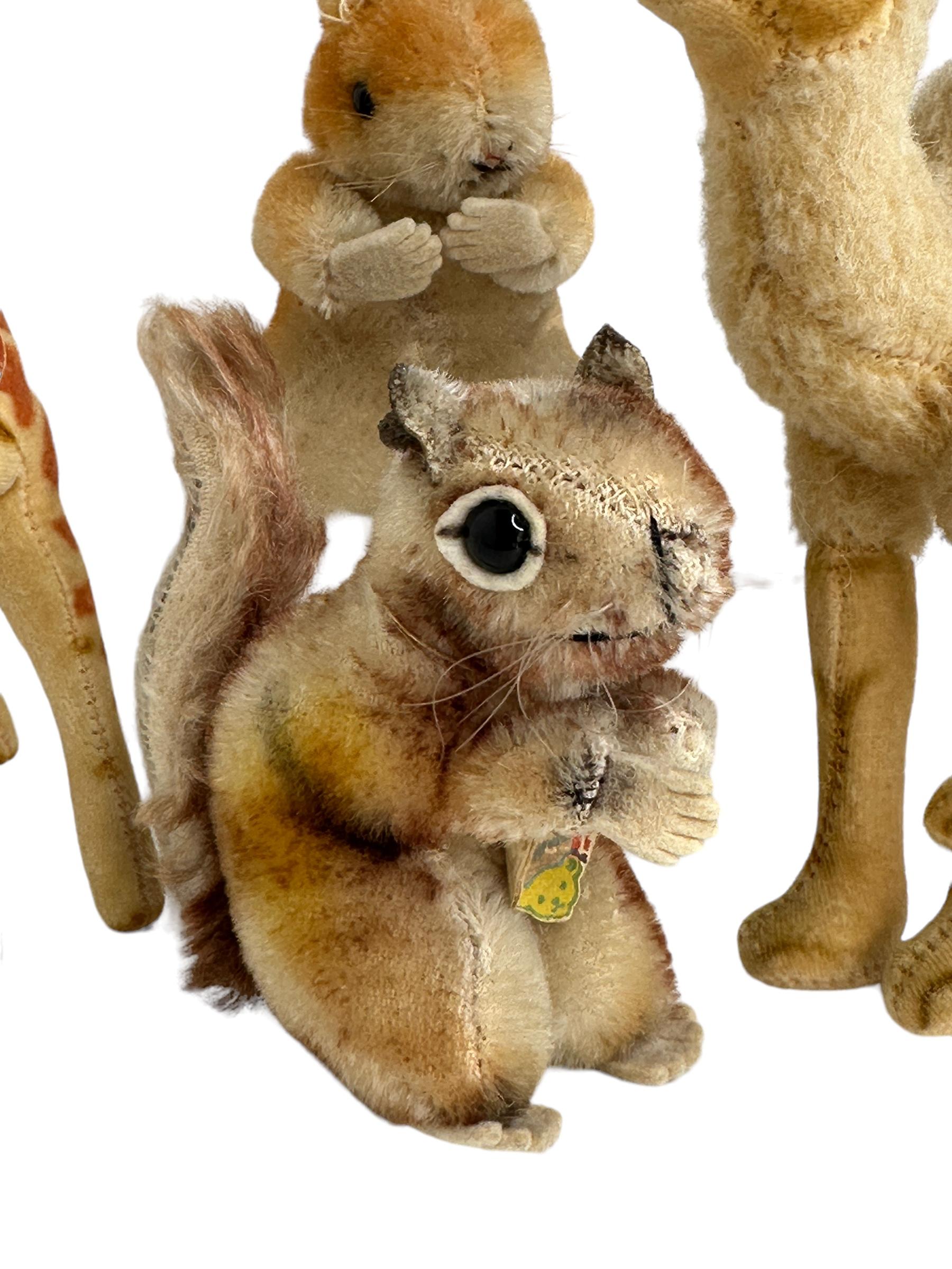 Lot of Four Vintage Steiff Animals, Eichhörnchen Kamel Hamster & Giraffen, 1960er Jahre (Volkskunst) im Angebot