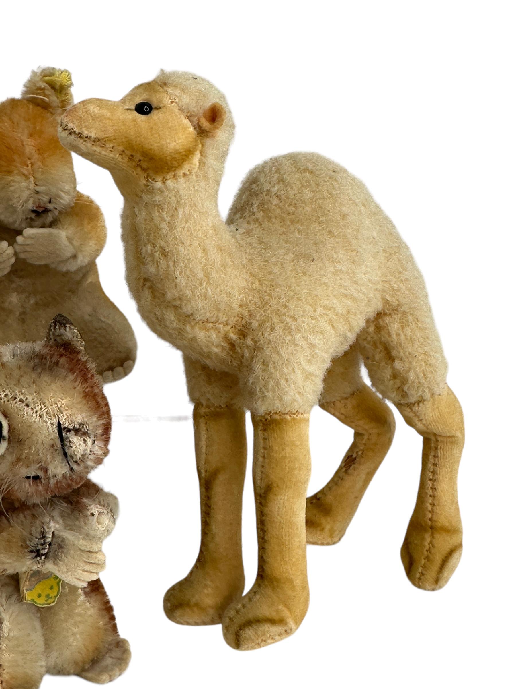 German Lot of Four Vintage Steiff Animals, Squirrel Camel Hamster & Giraffe, 1960s For Sale
