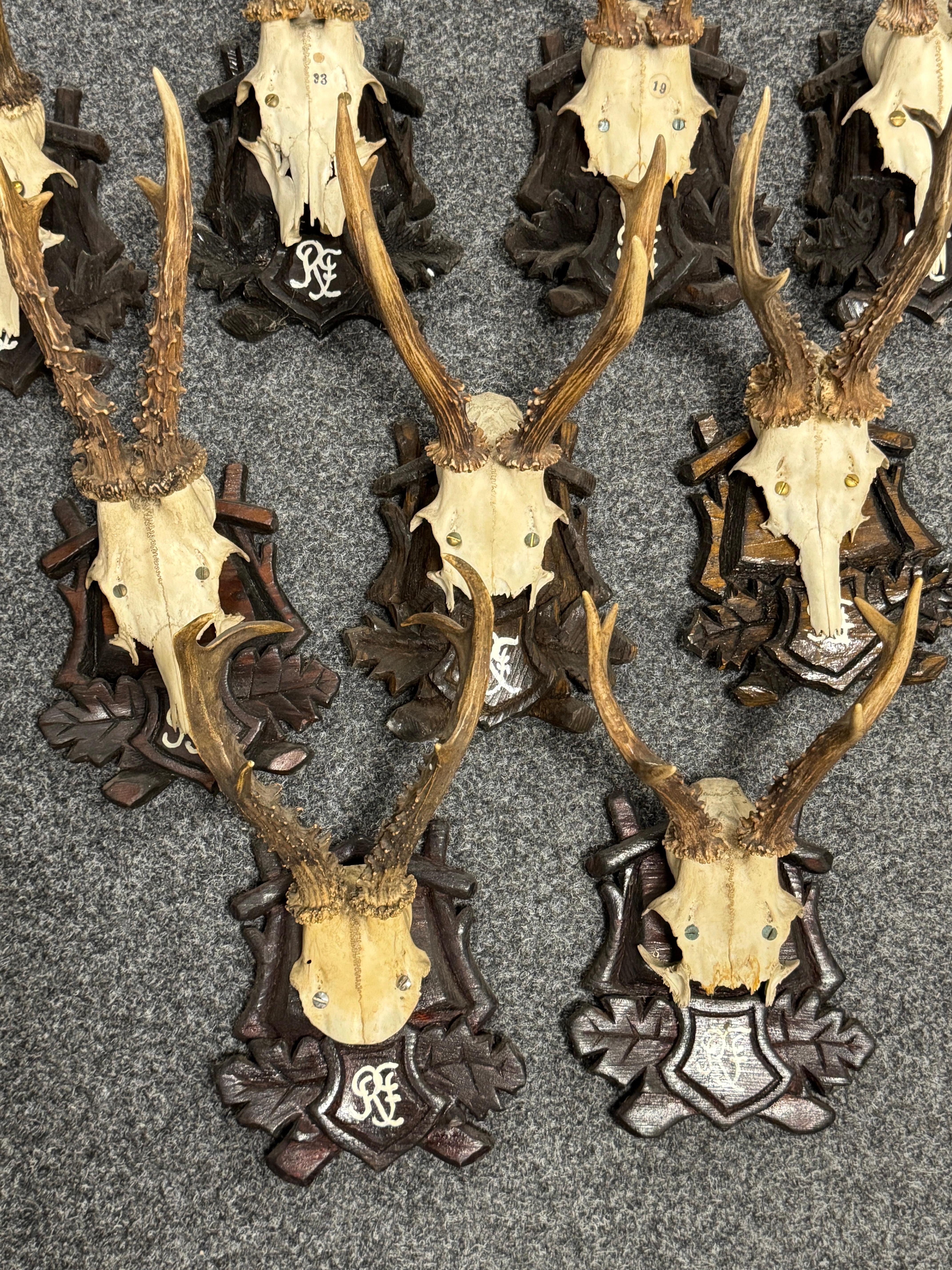 Lot of Nine Deer Antler Mount Trophy Black Forest Wood Plaque Austria Folk Art en vente 5