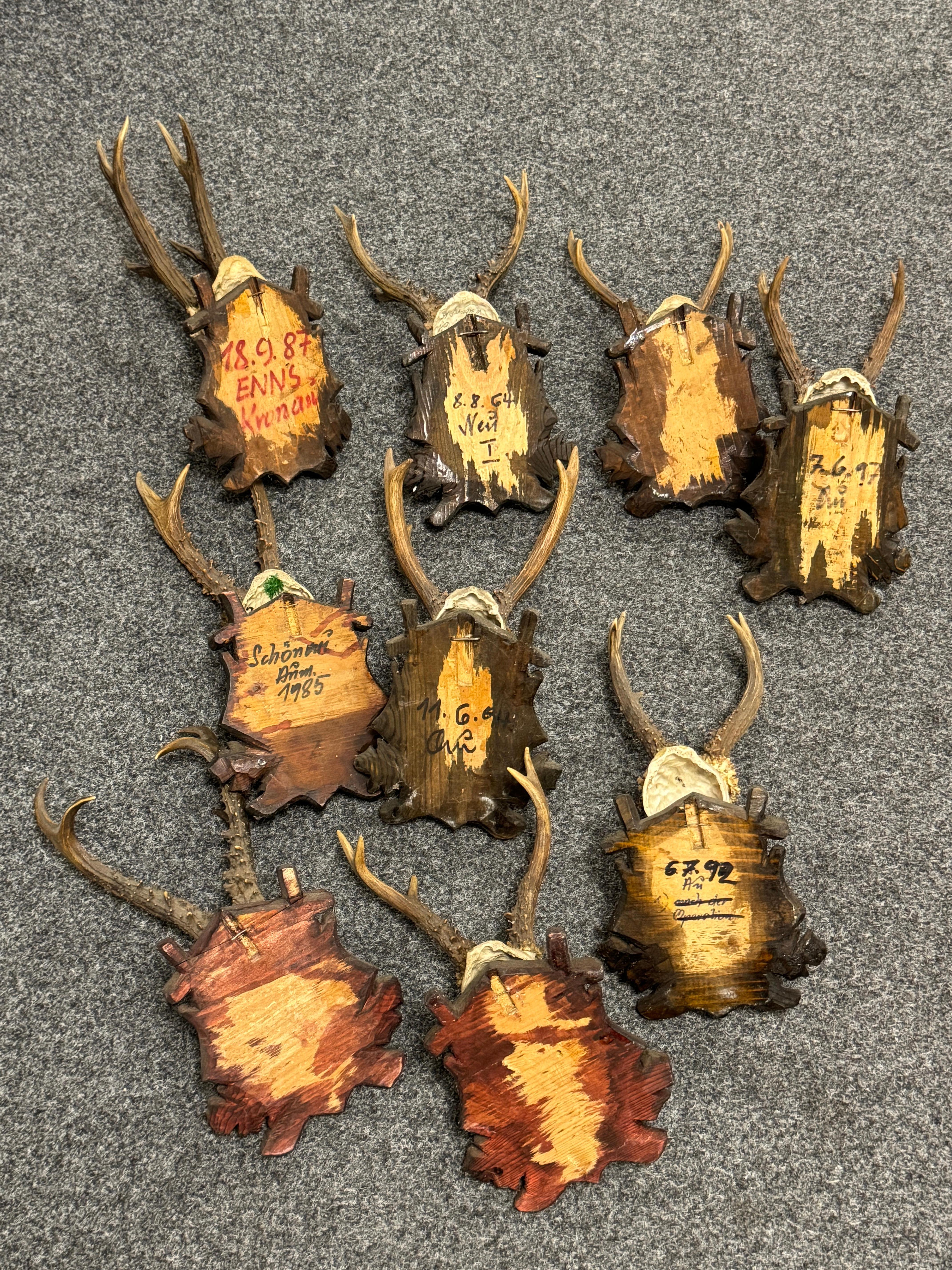 Lot of Nine Deer Antler Mount Trophy Black Forest Wood Plaque Austria Folk Art en vente 6