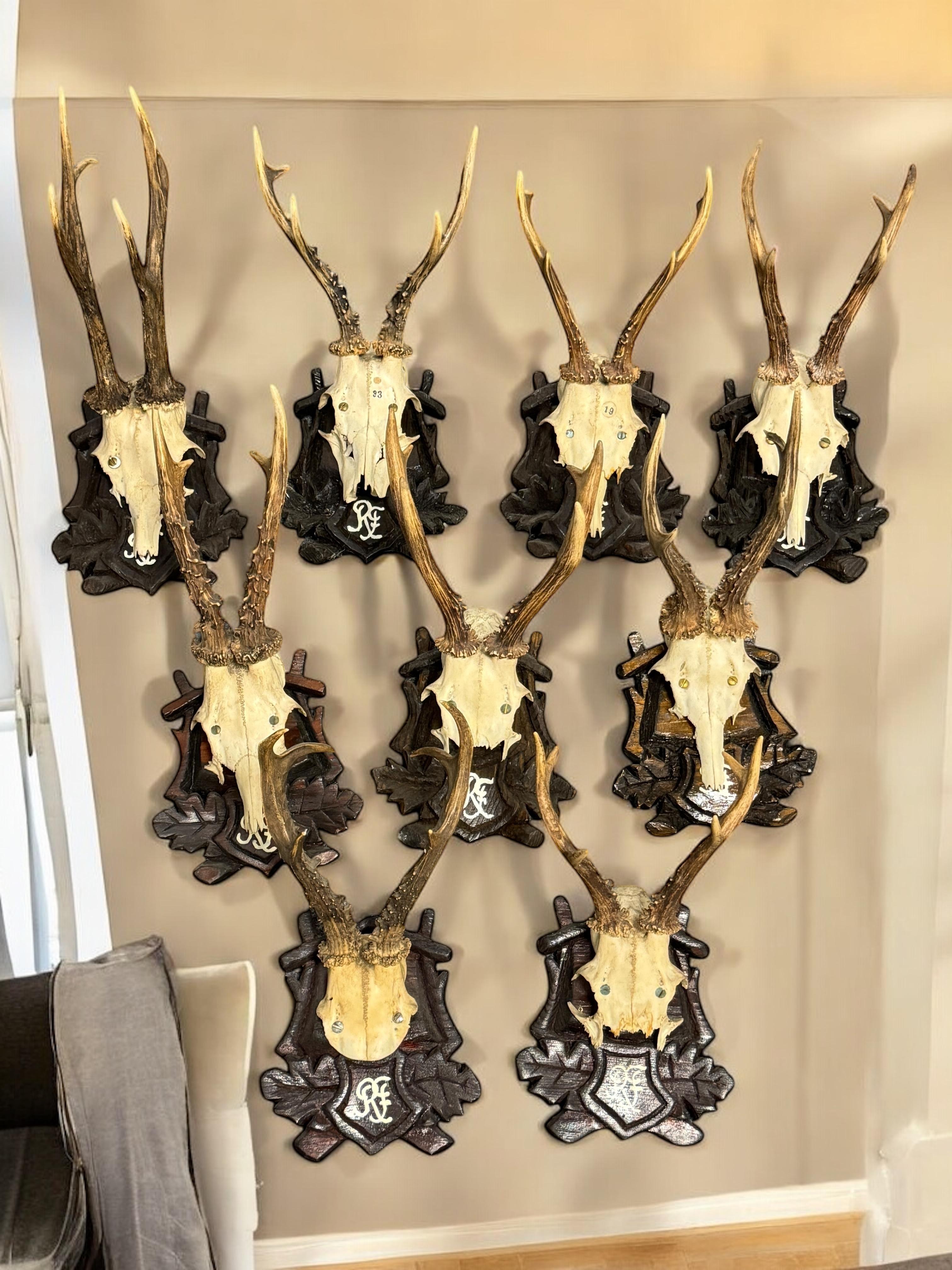Lot of Nine Deer Antler Mount Trophy Black Forest Wood Plaque Austria Folk Art en vente 7