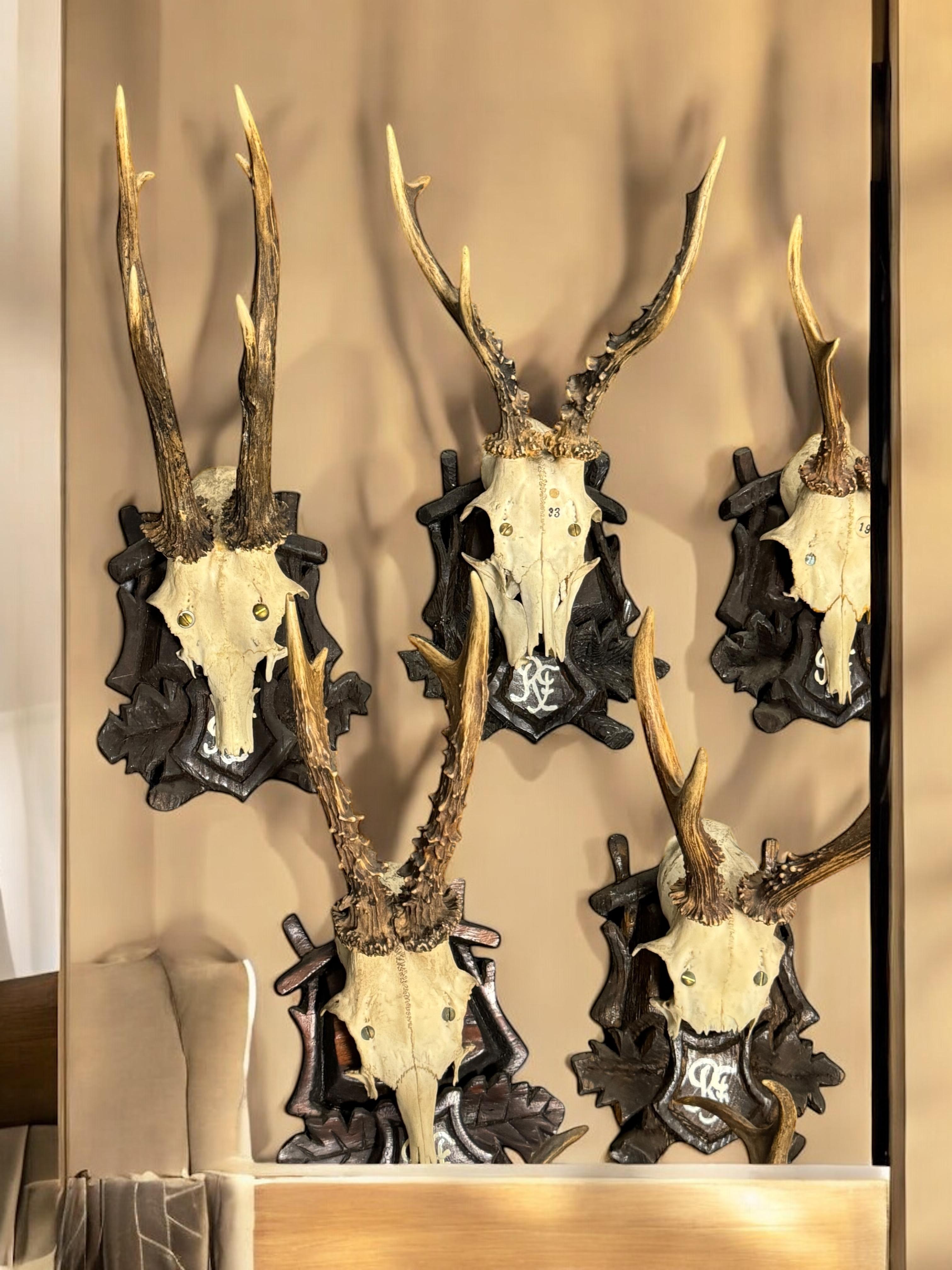 Lot of Nine Deer Antler Mount Trophy Black Forest Wood Plaque Austria Folk Art en vente 8