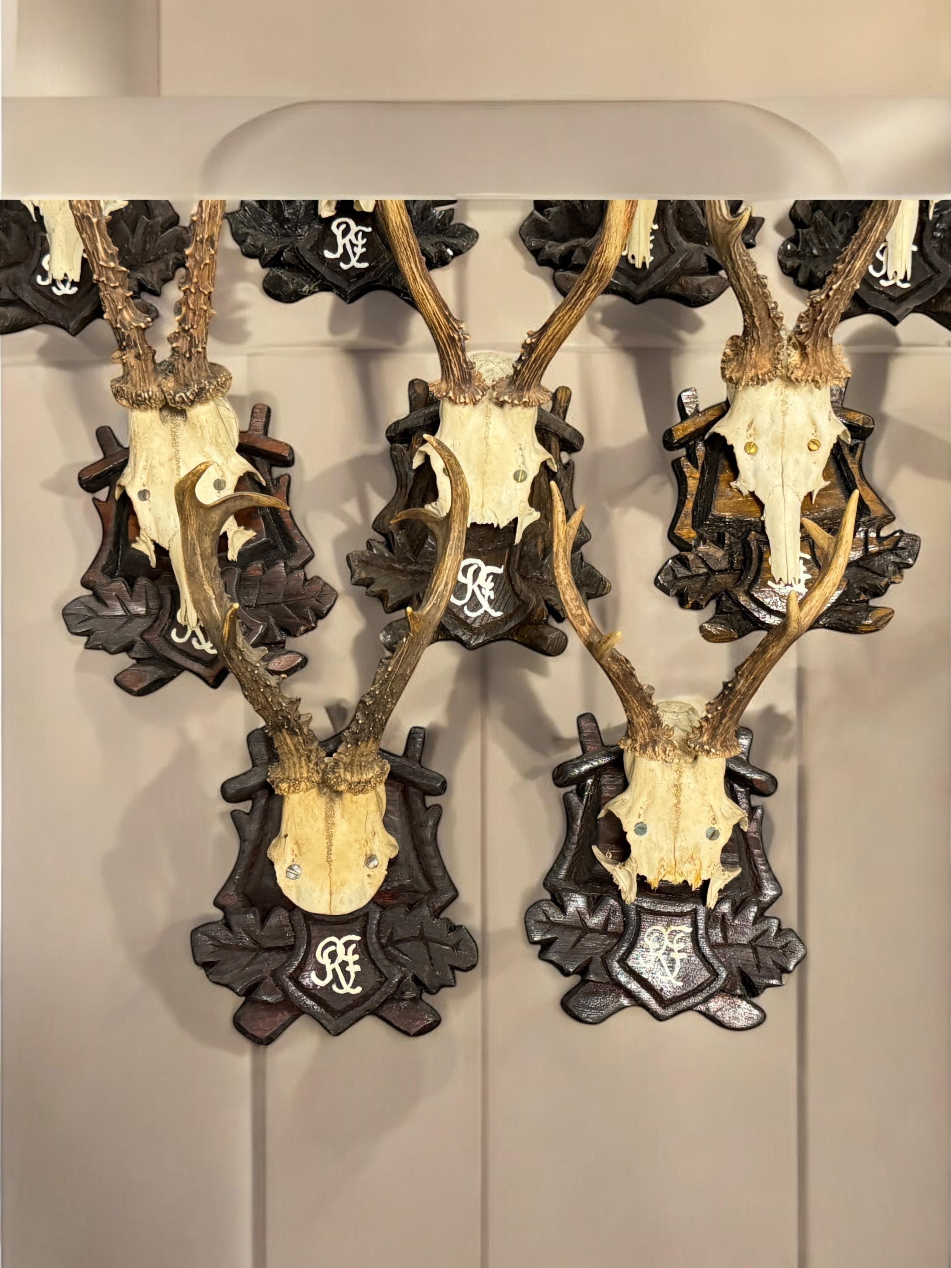 Lot of Nine Deer Antler Mount Trophy Black Forest Wood Plaque Austria Folk Art en vente 11