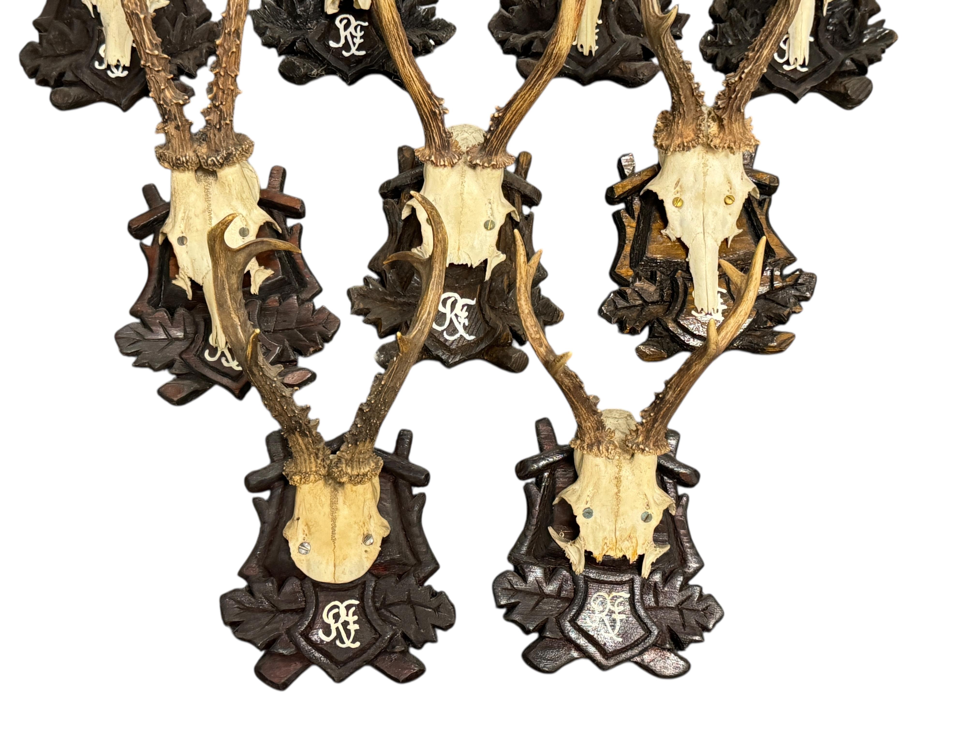 A set of 9 vintage deer antler trophies on hand carved, Black Forest wooden plaques. Most of them are dated on the backside, it tells they are from the 1980s to 1990s. Measurement's given in dimensions section refers to the tallest item. A nice
