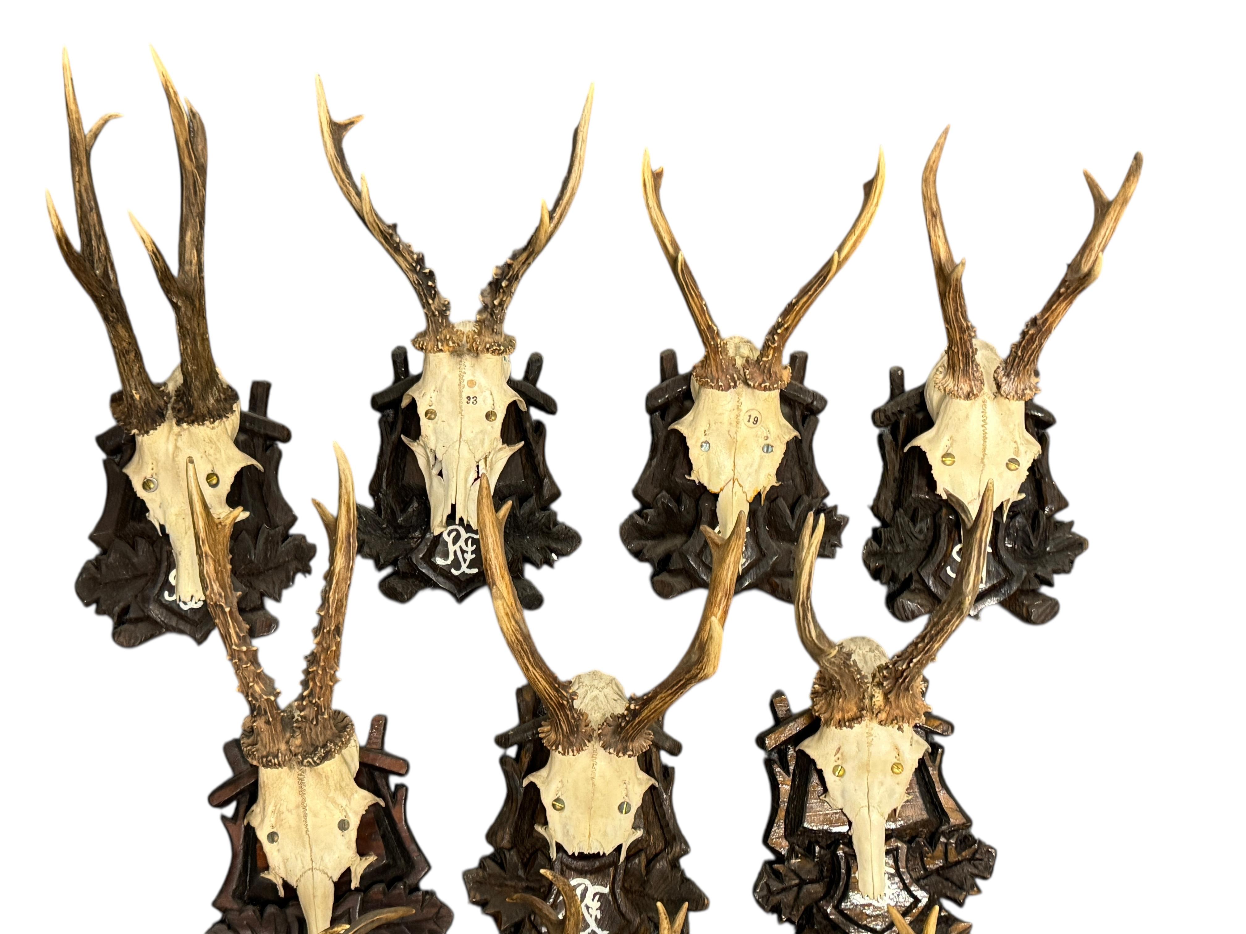 Artisanat Lot of Nine Deer Antler Mount Trophy Black Forest Wood Plaque Austria Folk Art en vente