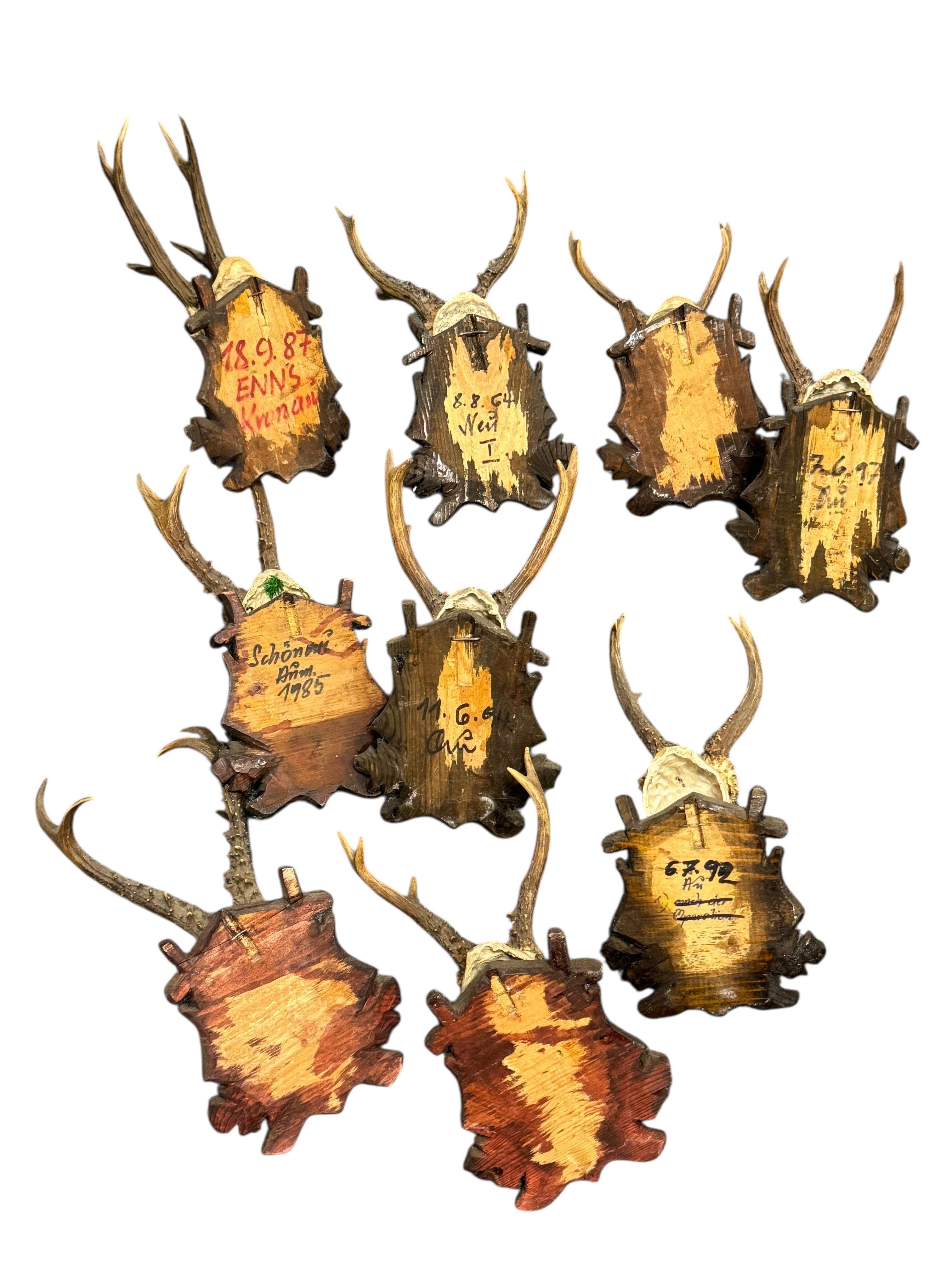 Sculpté à la main Lot of Nine Deer Antler Mount Trophy Black Forest Wood Plaque Austria Folk Art en vente