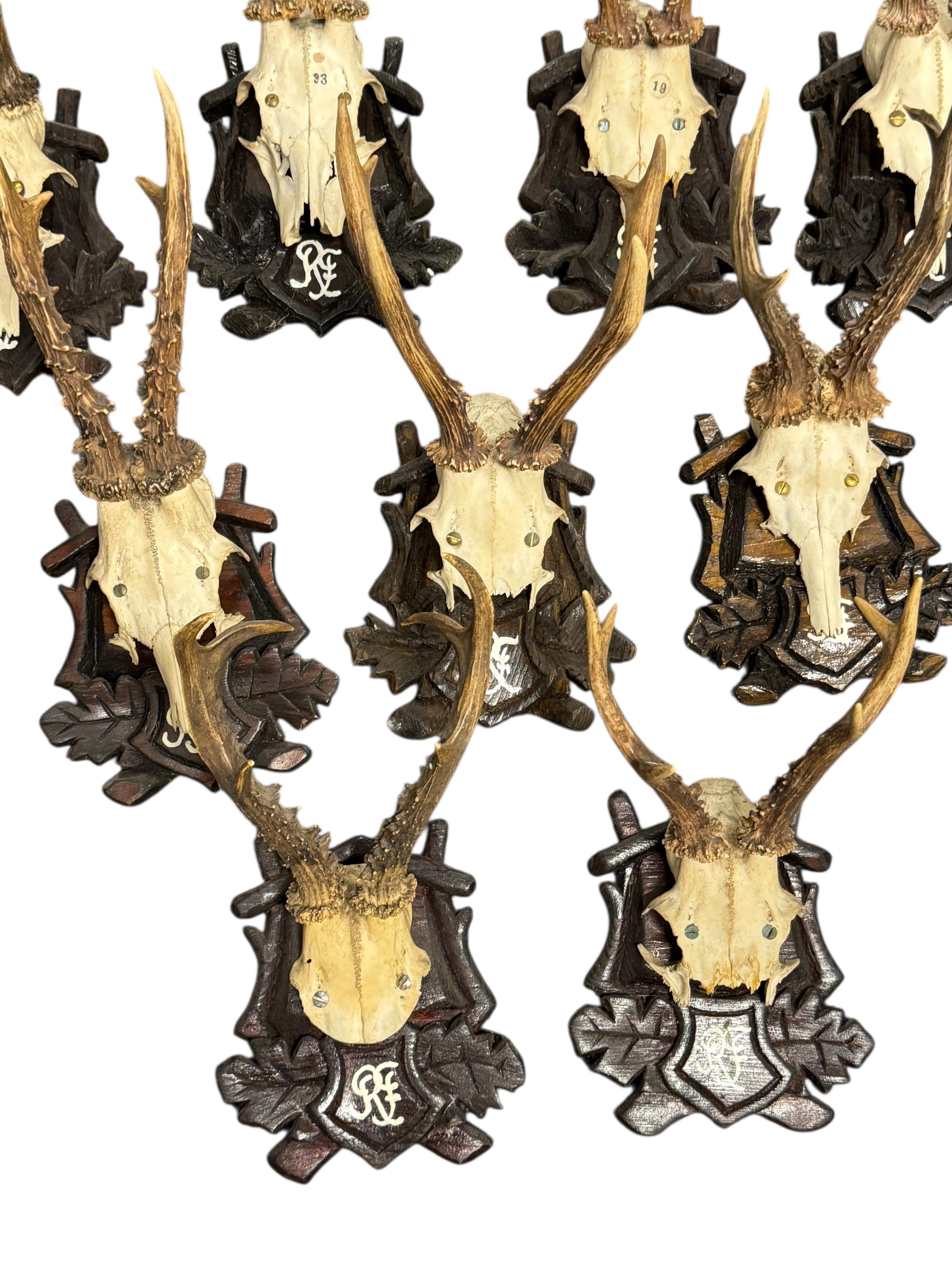 Lot of Nine Deer Antler Mount Trophy Black Forest Wood Plaque Austria Folk Art Bon état - En vente à Nuernberg, DE