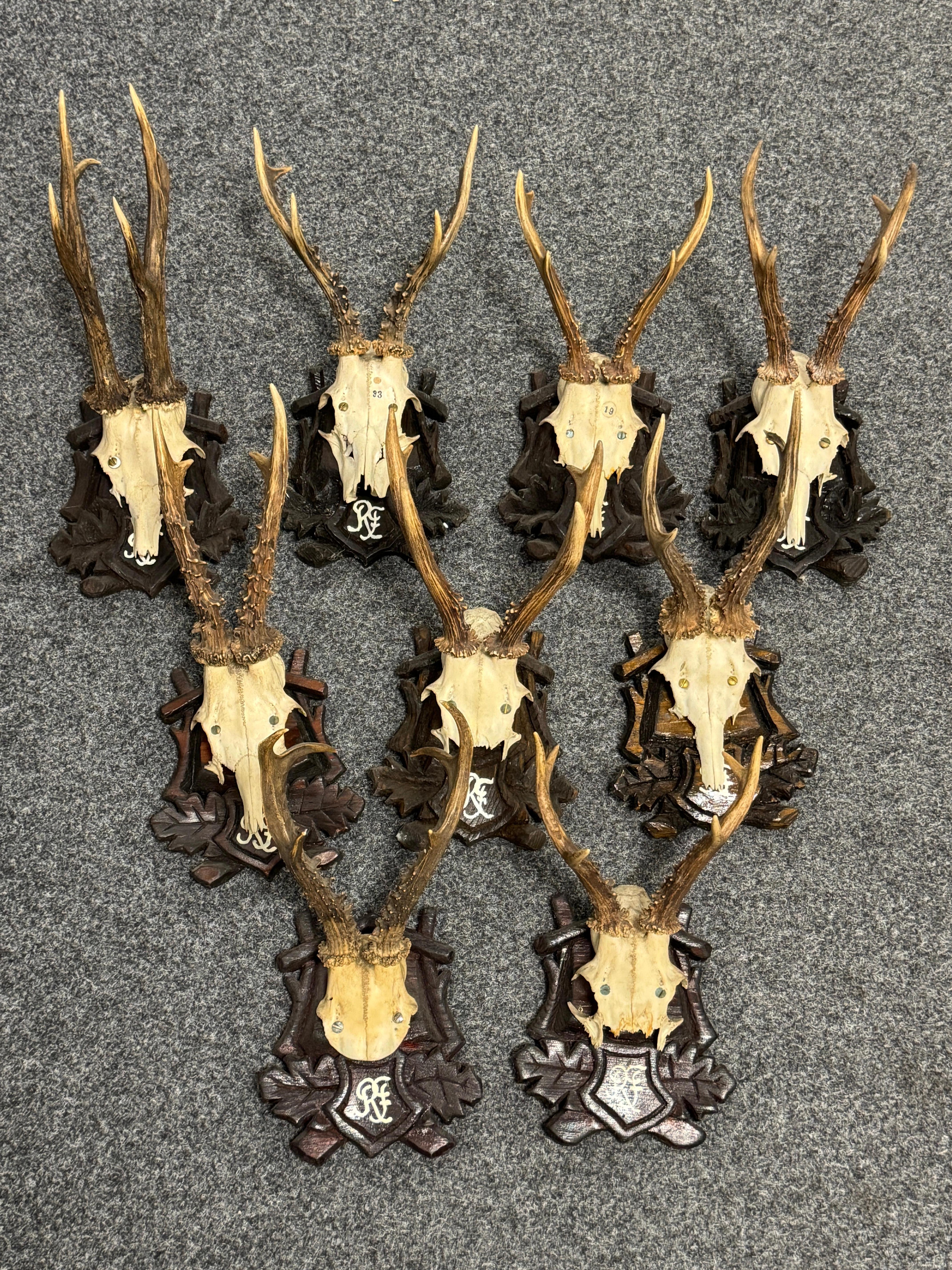 Bois cerf Lot of Nine Deer Antler Mount Trophy Black Forest Wood Plaque Austria Folk Art en vente