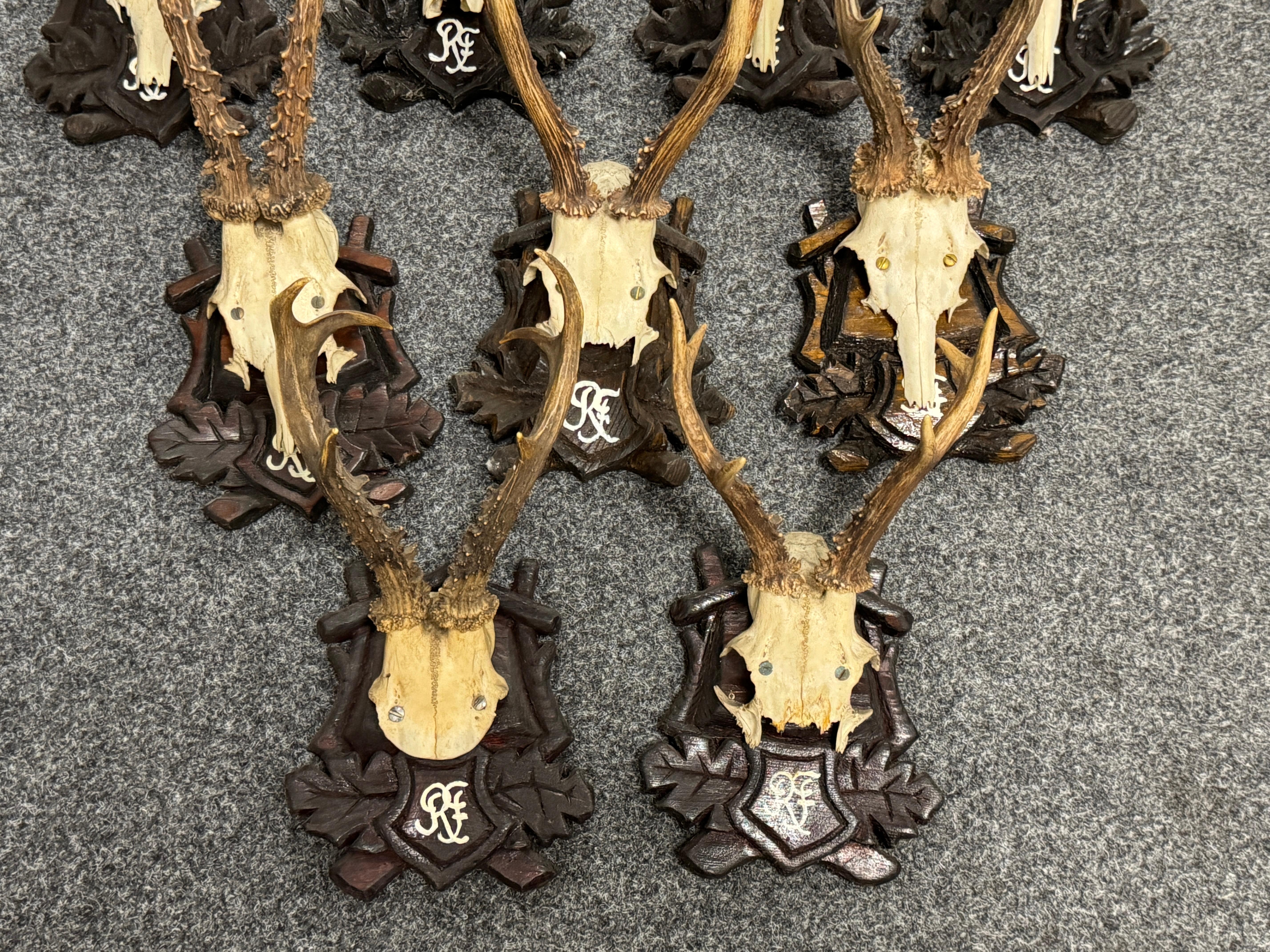 Lot of Nine Deer Antler Mount Trophy Black Forest Wood Plaque Austria Folk Art en vente 1
